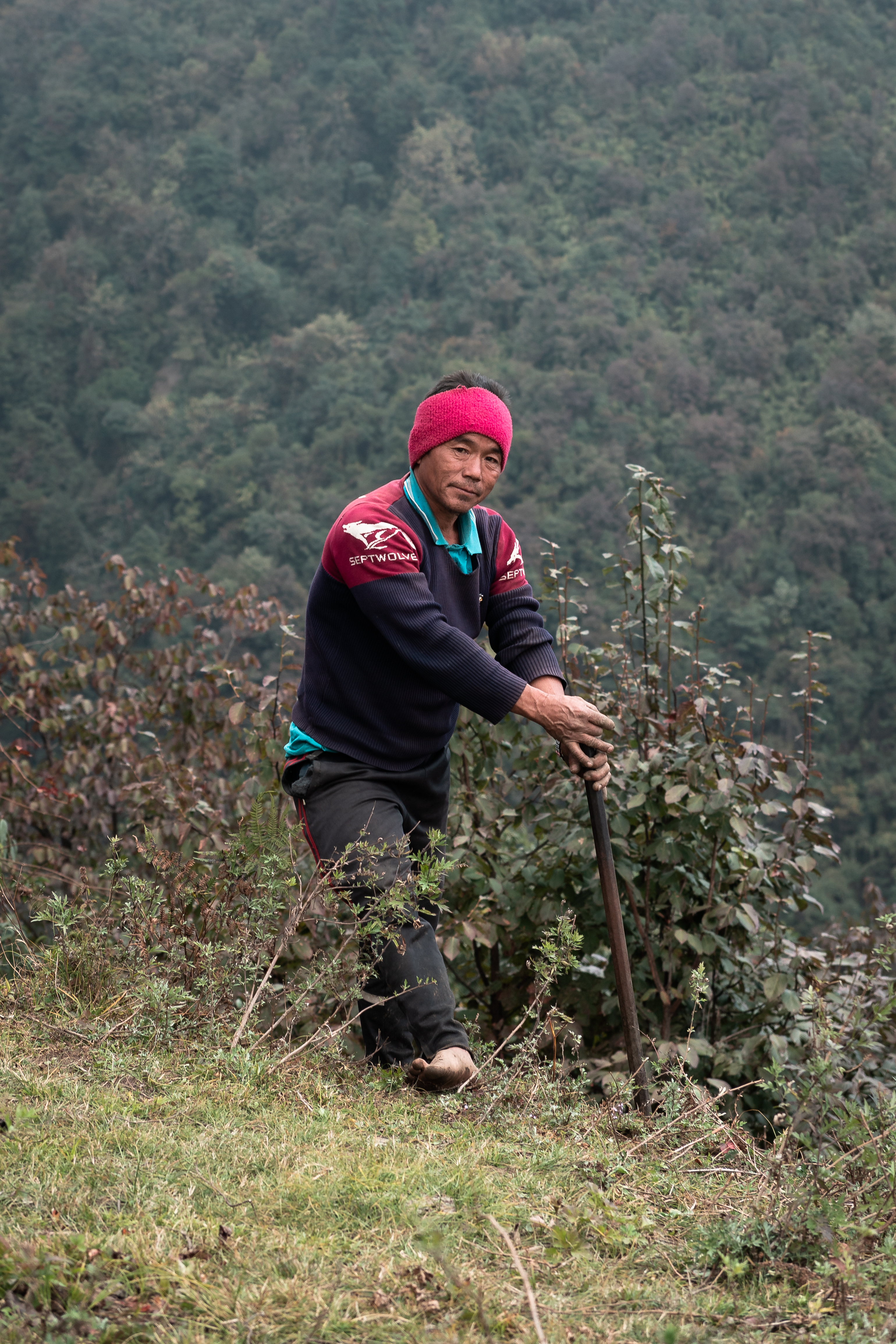 #width=100%;max-width=400px;margin-left=auto;margin-right=auto; Ploughing the fields, shoes optional.